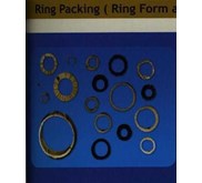 RING PACKING ( RING FORM AND SLEEVE PACKING )