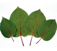 Borneo Kratom Crushed - DeVeined