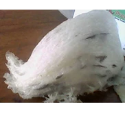 Sarang Burung Walet