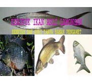krupuk ikan asli Lamongan