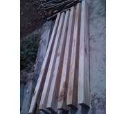 Kayu Jati