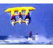 FLYING FISH