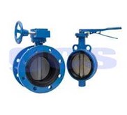 BUTTERFLY VALVE