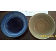Plate 8 and 9