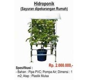 Hydroponic, Paket Hydroponic