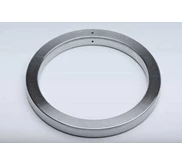 ring gasket subsea type SBX & SRX