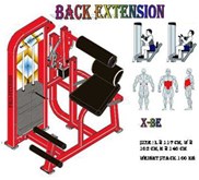 LOWER BACK EXTENSION