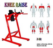 LEG RAISE / DIP