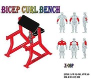 SEATED PREACHER CURL