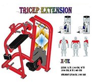 SEATED TRICEP EXTENSION
