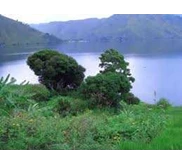 * Suara Walet Green Wave 01, 02, 03