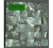 Mother of Pearl Interior Panels