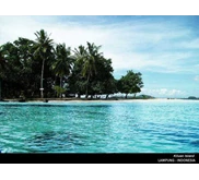 Paket Tour Kiluan ( Dolphin Bay)
