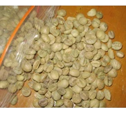 Robusta Lampung