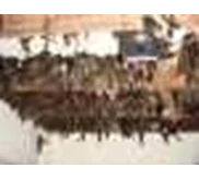 * SUARA PANGGIL * WALET * VICTORY 2 *