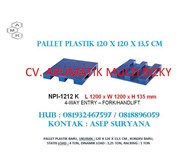 NPI-1212 K
