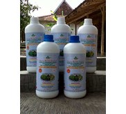 Pupuk Organik Tanaman Ubi 2 Bulan Panen