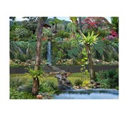 Outdoor Vertical garden dan landscape