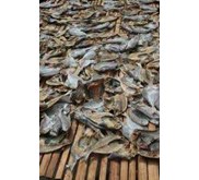 ikan kering BS