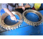 Worm Gear
