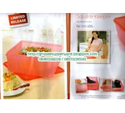 Tupperware Square Keeper