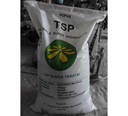 TSP Cap Bunga Teratai