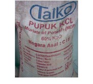 KCL / MOP Taiko