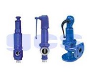 ARI SAFE SAFETY VALVE