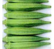 FRESH OKRA