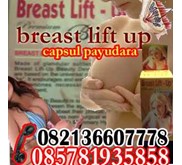 TABLET PAYUDARA REAST LIFT UP