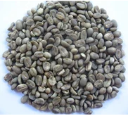 Butuh Supply Kopi Arabica
