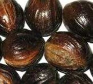 NUTMEG WITH SHELL