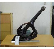 kayu seni jurasic