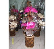 Menjual Bunga Kayu