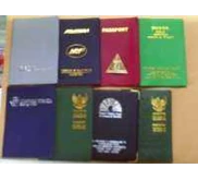 cover passport