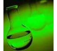 Lauric Acid 99% Min
