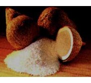 Kelapa bulat