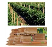 Hardwood Stakes