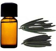 Minyak Vanili ( Vanili Oil)