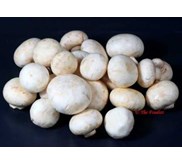 Jamur Champignon