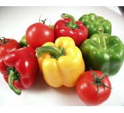 paprika merah, kuning, dan hijau