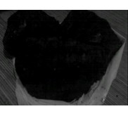 DIJUAL : Batubara asalan/ plump/ curah