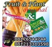 PELANGSING FRUIT PLANT ORIGINAL HUB. 081380668744