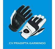 Golf Glove