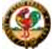 ayam brand