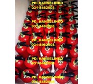 Harga Apar Tabung Alat Pemadam Kebakaran Api Abc Drychemical Powder 3 Kg Murah