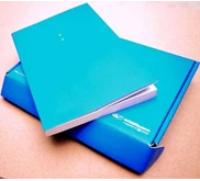 agenda wom finance