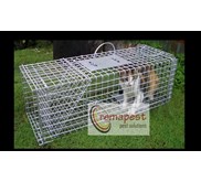 CAT CONTROL / Pengendalian kucing