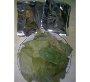 TEH CELUP DAUN SIRSAK