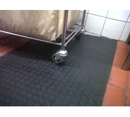 Karpet Coin Fitama Carpet